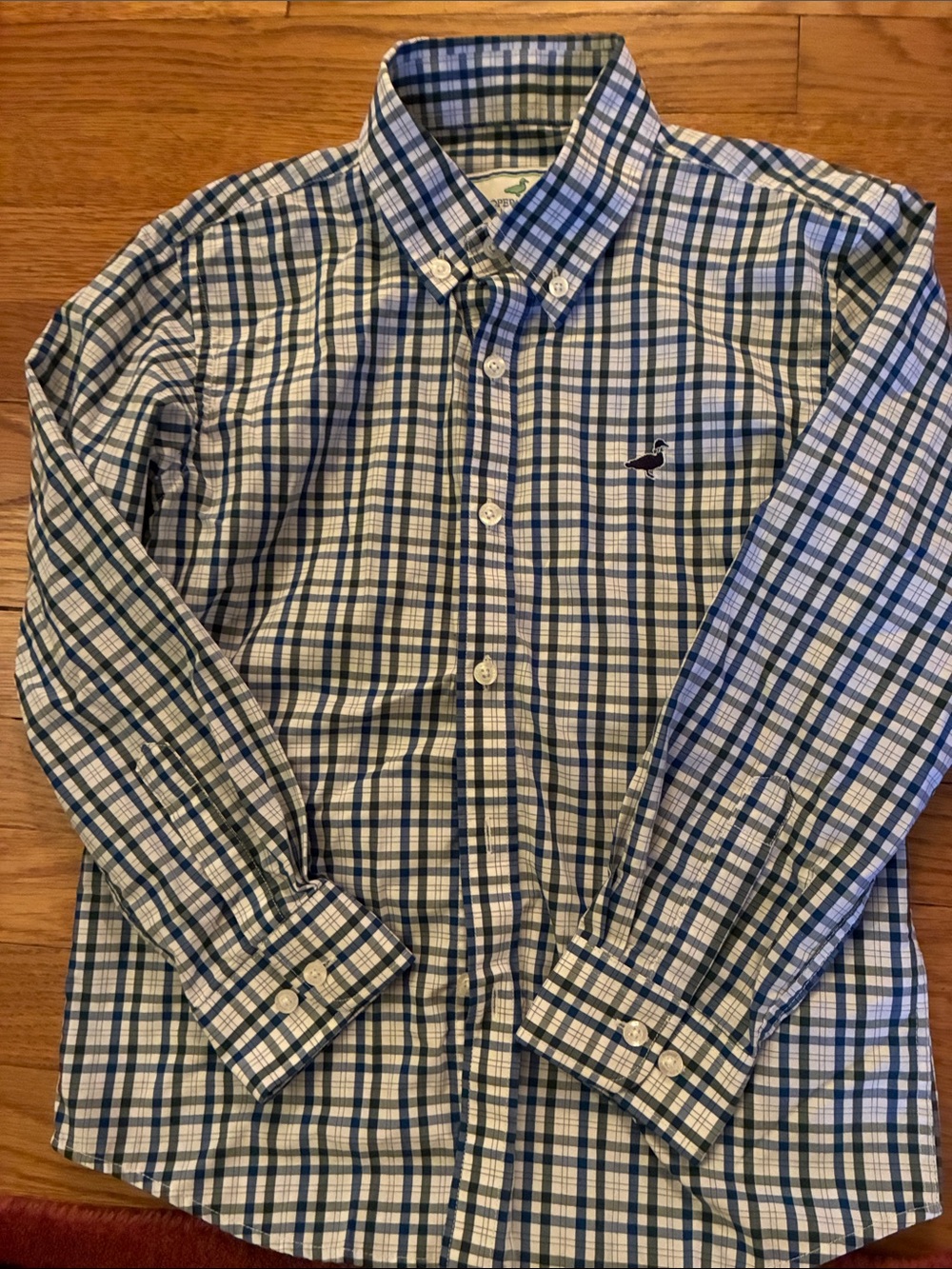 Boys Button-Down Plaid Shirt - Blue & Green